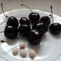 Kers ‘Kordia’