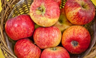 Ziekteresistente appelrassen voor de biologische fruittuin
