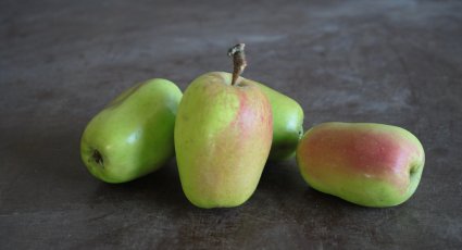Appelboom 'Present van Engeland' - vanaf € 22,99 - Consumptieappelbomen