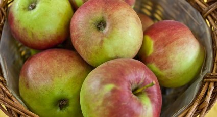 Appelboom 'Jonathan' - vanaf € 22,99 - Consumptieappelbomen