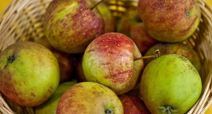 Appelboom 'Rubinette' - vanaf € 19,99 - Consumptieappelbomen