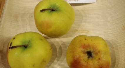 Appelboom 'Apistar' ® - vanaf € 21,99 - Consumptieappelbomen