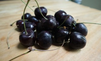 Welke kersenboom geeft de lekkerste kersen? Onze favorieten!
