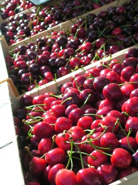 Burlat kersen in kisten op de markt