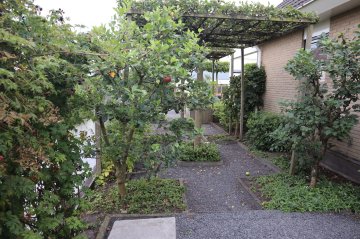 Tuin met fruitbomen en kleinfruit