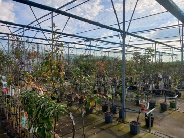 De winkel in de herfst