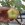 Appel 'Apistar' ®