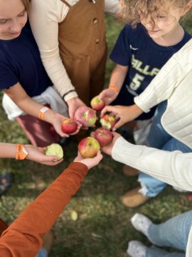 Geplukte appels vergelijken