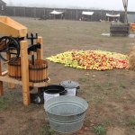 De beste appels om appelcider mee te maken