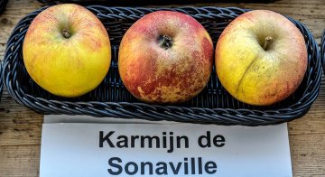 Karmijn de Sonaville appel