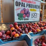Waarom fruit uit de eigen tuin écht lekkerder is dan uit de supermarkt!