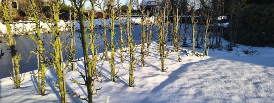Woensdag 7 januari gesloten vanwege de weersomstandigheden