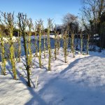 Vrijdag 9 januari eerder dicht, zaterdag 10 december gesloten vanwege de weersomstandigheden