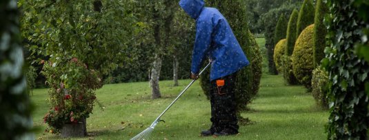 Najaarsschoonmaak in de boomgaard