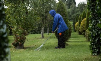 Najaarsschoonmaak in de boomgaard