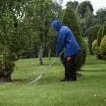 Najaarsschoonmaak in de boomgaard