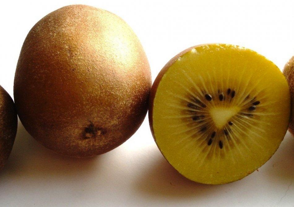 Gele kiwi 'Goldy'