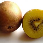Gele kiwiplant 'Goldy' (Golden Kiwi)