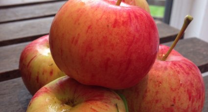 Appelboom 'Somerset Redstreak' - vanaf € 22,99 - Consumptieappelbomen