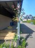 Op Stam