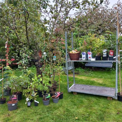 Voedselbosdag bij Juuls Landje