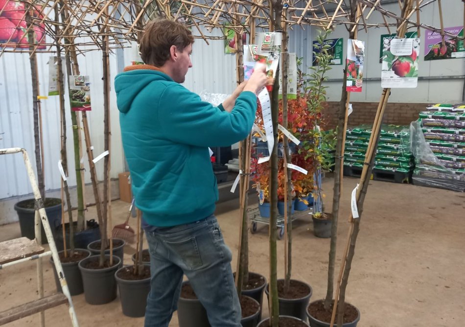 4 vragen over het late plantseizoen beantwoord 4 vragen over het late plantseizoen beantwoord