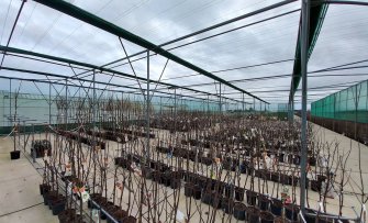 Het winterseizoen is afgelopen: onze fruitbomen gaan weer naar buiten!