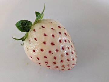 Witte ananasaardbei
