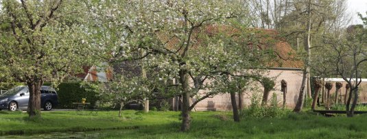 Met deze 5 tips zorg je voor een gezonde bodem in je fruittuin