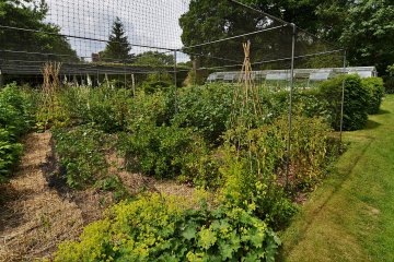 Fruitkooi met kleinfruit