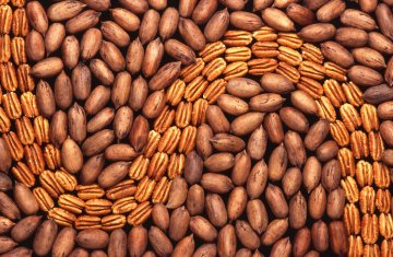 Pecannoten met en zonder schaal