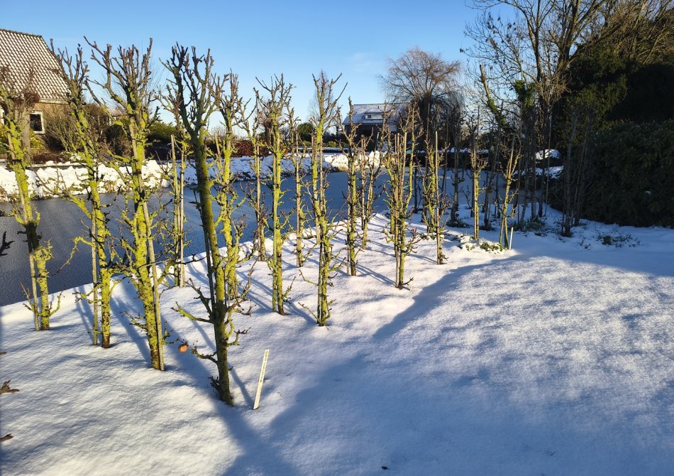 Woensdag 7 januari gesloten vanwege de weersomstandigheden