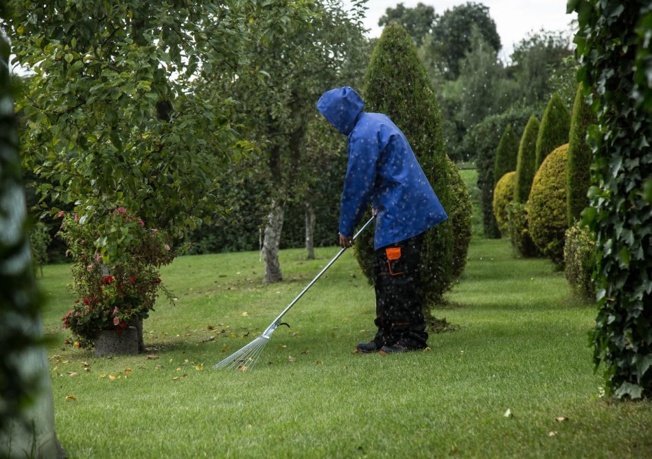 Najaarsschoonmaak in de boomgaard