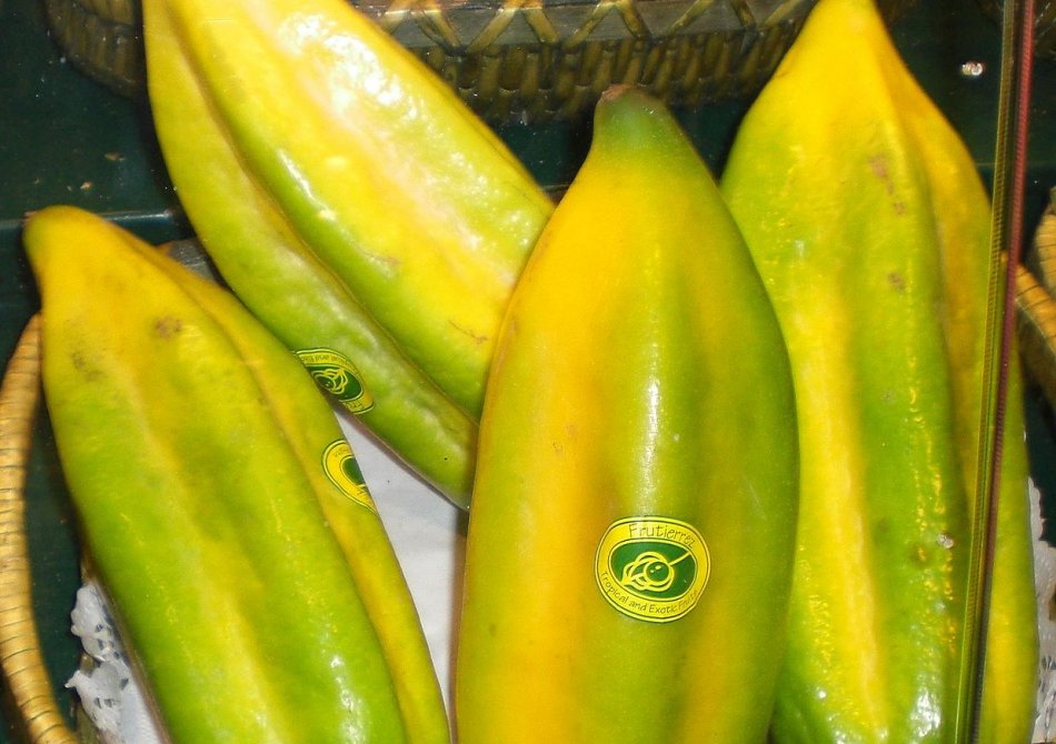 Babaco Papaya